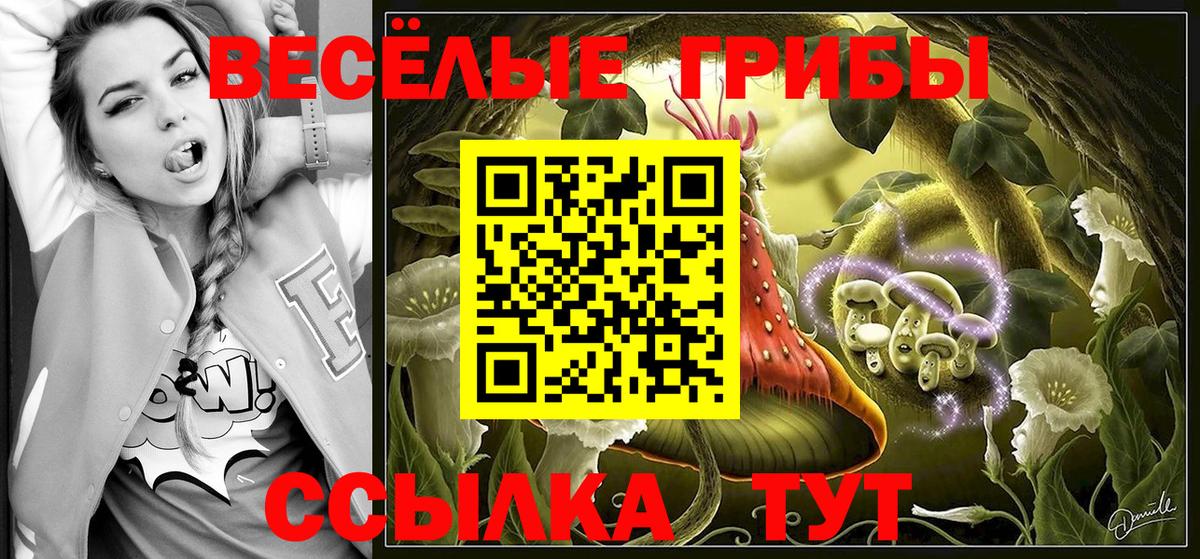 Псилоцибиновые грибы ЛСД Чебаркуль