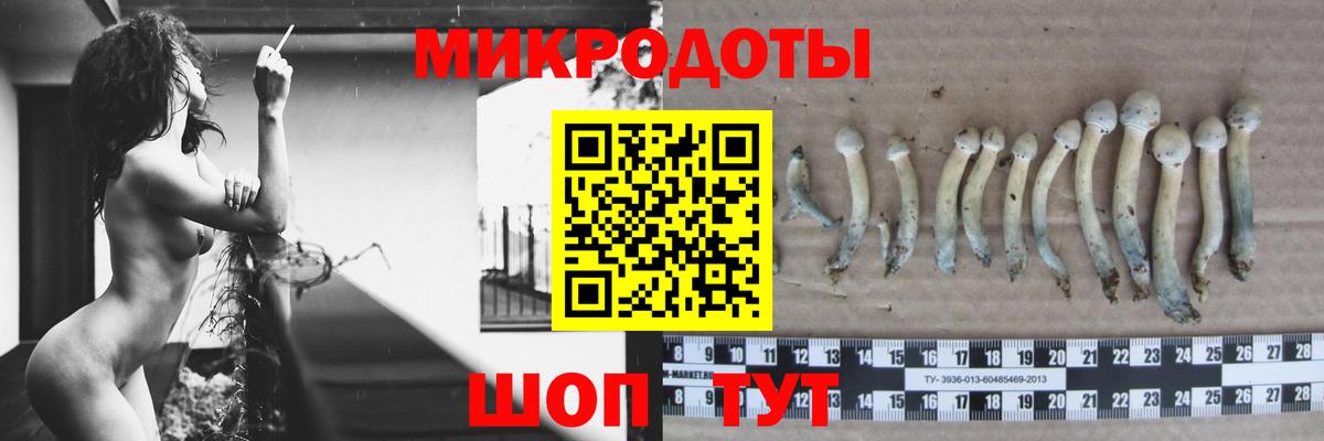 Галлюциногенные грибы Magic Shrooms  Вход с VPN  Чебаркуль 